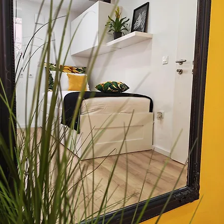 New & Freshly Renovated Luanna * Koper